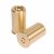 Bisley Brass 12G Snap Caps